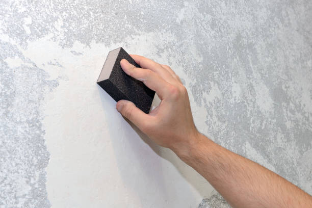 Best Airborne Mold Testing  in St Paris, OH