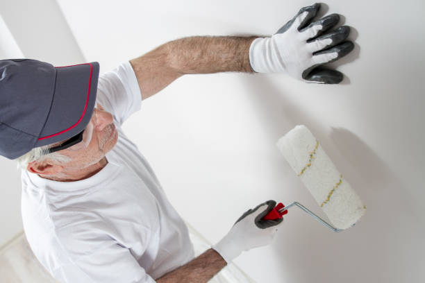 Best Residential Mold Inspection & Testing  in St Paris, OH