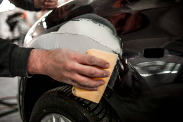 Professional Mold Removal in St Paris, OH