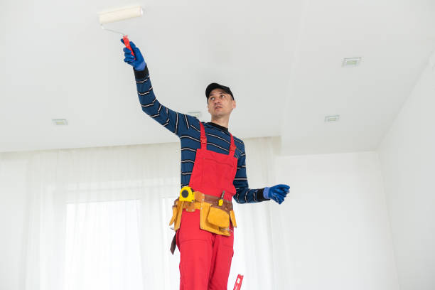 Best Attic Mold Removal  in St Paris, OH
