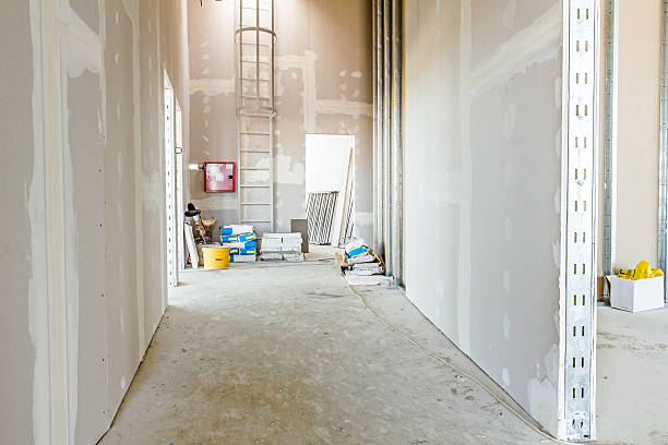 Best Forensic Mold Investigation  in St Paris, OH