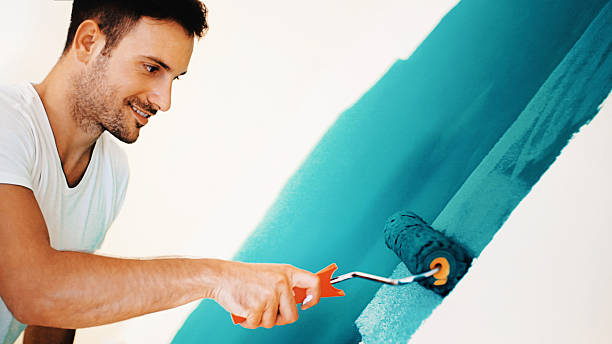 Best Black Mold Removal  in St Paris, OH