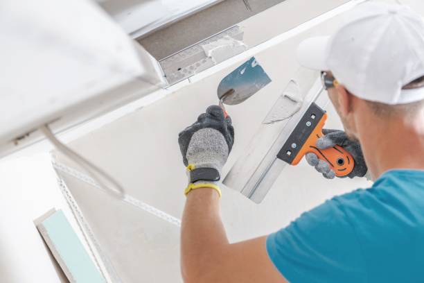 Mold Documentation for Insurance Claims in St Paris, OH